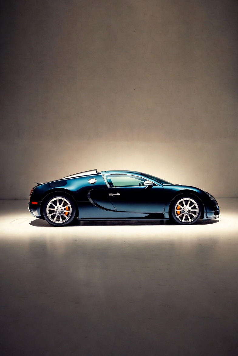 The Role of Shape and Proportion